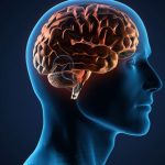 Morphine's Impact on The Brain