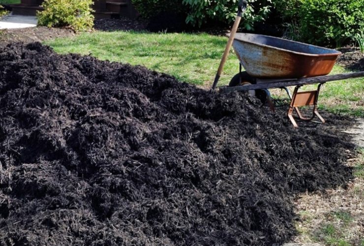 Delivery Service for Your Yard